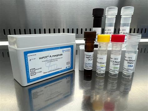 anaplasma marginale elisa kit|Testing options for anaplasma marginale in cattle .